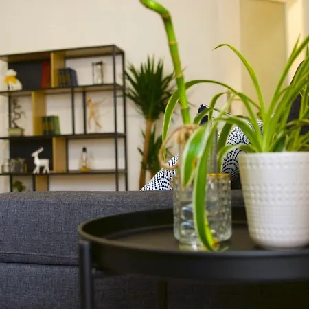 Faubourg St Pierre Apartamento Nancy